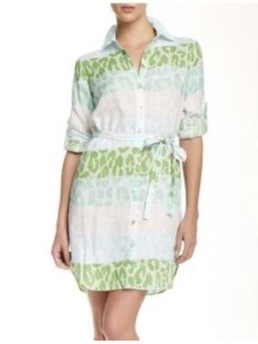 Belted Shirt Mini Dress in Light Green Animal Stripe.              Bg1